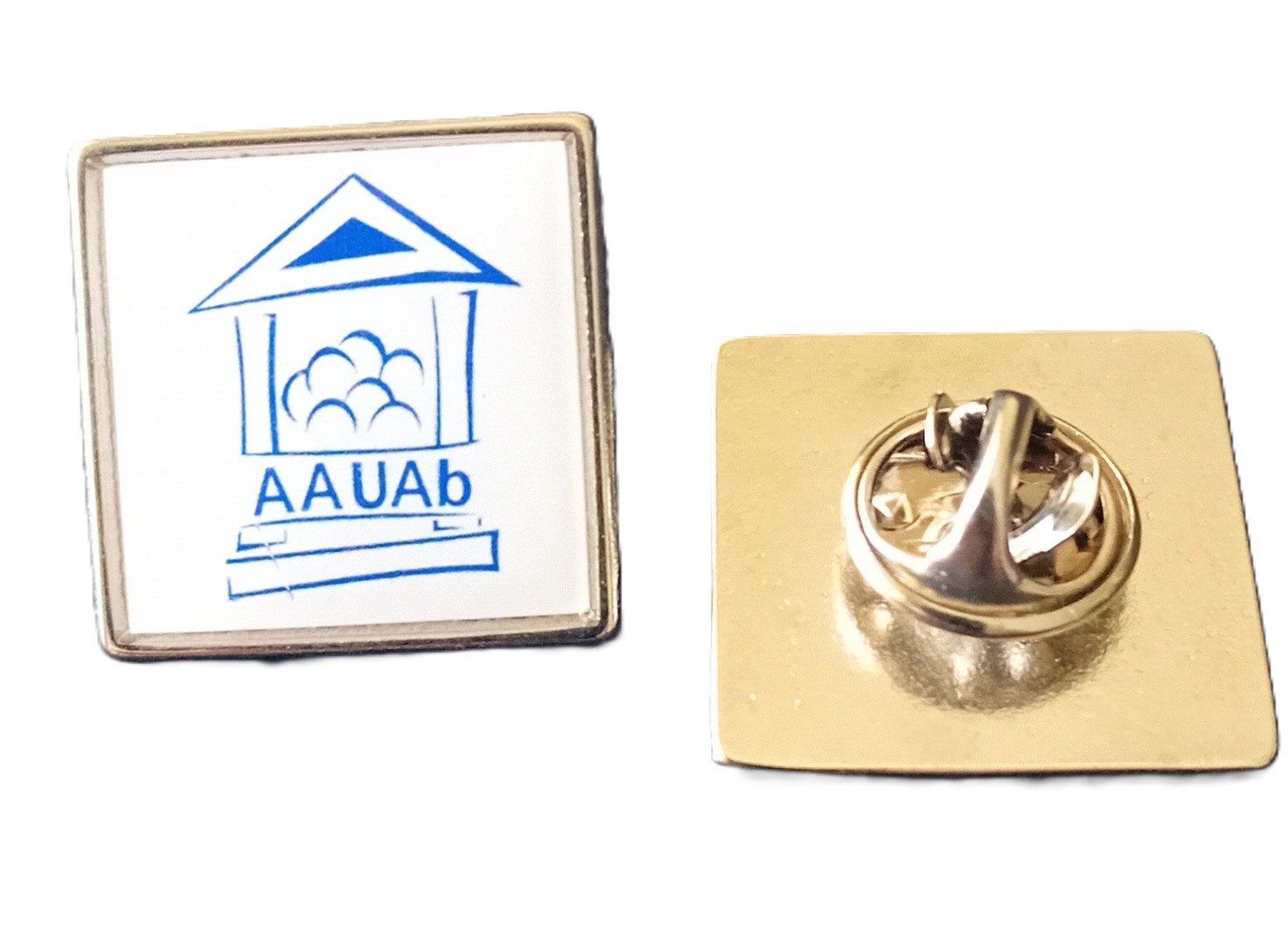 PIN AAUAb